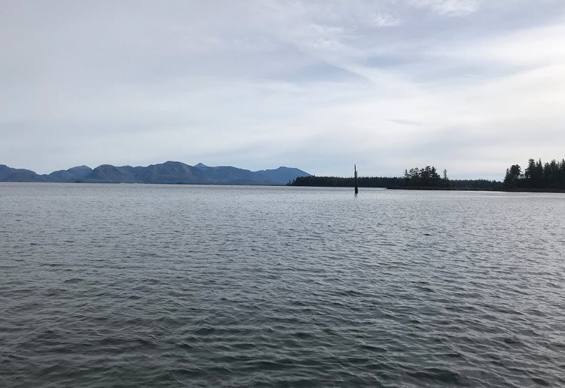 Dall Bay State Marine Park, Alaska, USA